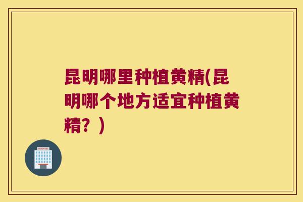 昆明哪里种植黄精(昆明哪个地方适宜种植黄精？)