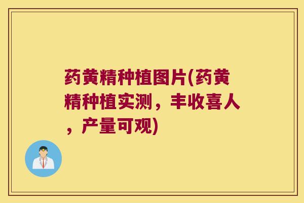 药黄精种植图片(药黄精种植实测，丰收喜人，产量可观)