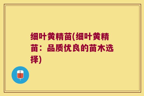 细叶黄精苗(细叶黄精苗:品质优良的苗木选择) 细叶黄精苗(细叶黄精苗:品质优良的苗木选择)