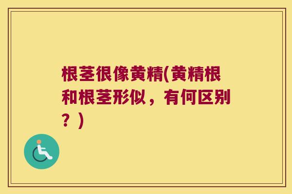 根茎很像黄精(黄精根和根茎形似,有何区别?) 根茎很像黄精(黄精根和根茎形似,有何区别?)