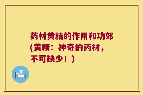 药材黄精的作用和功郊(黄精:神奇的药材,不可缺少!) 药材黄精的作用和功郊(黄精:神奇的药材,不可缺少!)