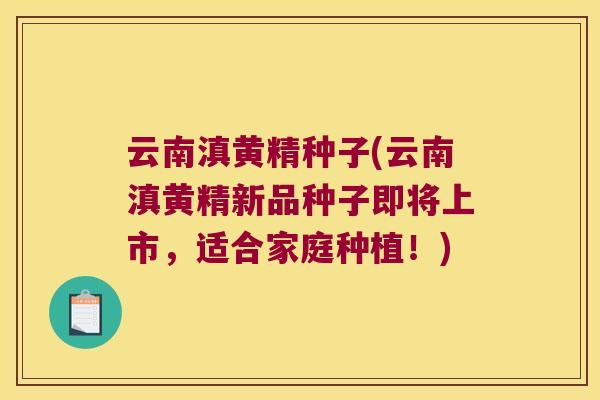云南滇黄精种子(云南滇黄精新品种子即将上市,适合家庭种植!) 云南滇黄精种子(云南滇黄精新品种子即将上市,适合家庭种植!)