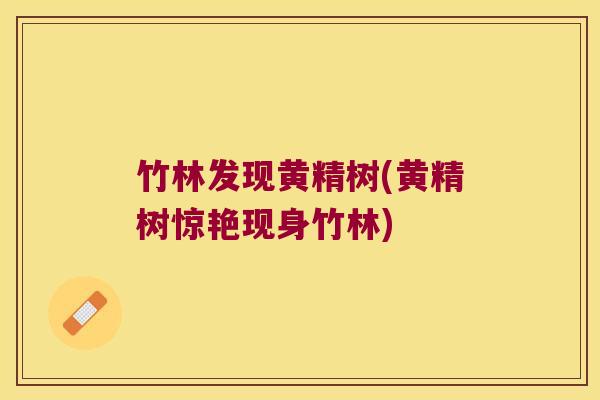 竹林发现黄精树(黄精树惊艳现身竹林)
