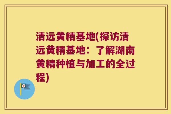 清远黄精基地(探访清远黄精基地：了解湖南黄精种植与加工的全过程)