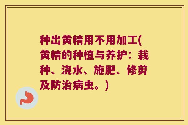 种出黄精用不用加工(黄精的种植与养护:栽种、浇水、施肥、修剪及防虫。) 种出黄精用不用加工(黄精的种植与养护:栽种、浇水、施肥、修剪及防虫。)