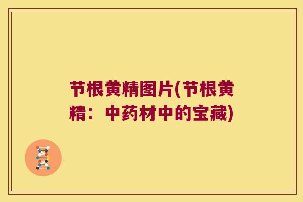 节根黄精图片(节根黄精:材中的宝藏) 节根黄精图片(节根黄精:材中的宝藏)
