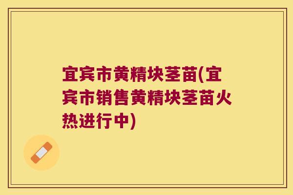 宜宾市黄精块茎苗(宜宾市销售黄精块茎苗火热进行中) 宜宾市黄精块茎苗(宜宾市销售黄精块茎苗火热进行中)