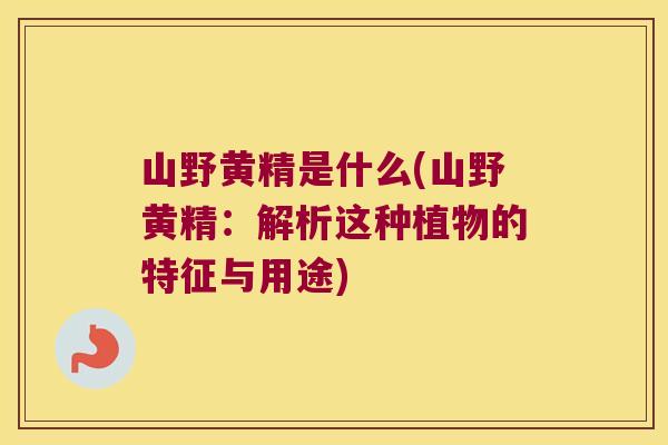 山野黄精是什么(山野黄精:解析这种植物的特征与用途) 山野黄精是什么(山野黄精:解析这种植物的特征与用途)
