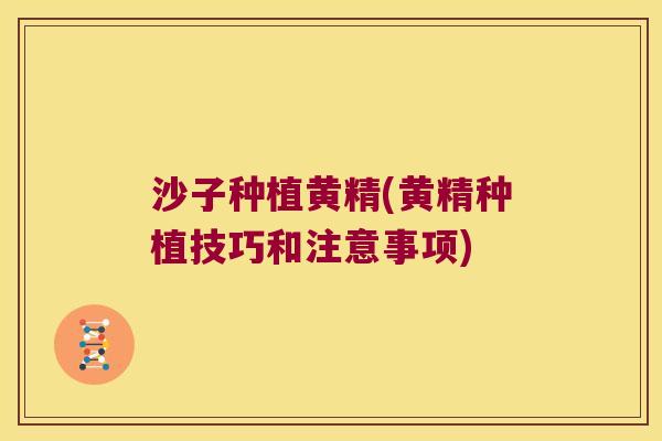 沙子种植黄精(黄精种植技巧和注意事项)