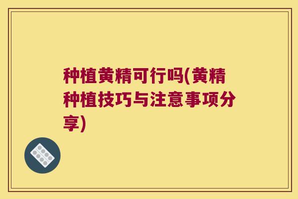 种植黄精可行吗(黄精种植技巧与注意事项分享) 种植黄精可行吗(黄精种植技巧与注意事项分享)