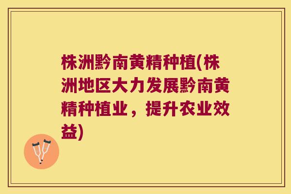 株洲黔南黄精种植(株洲地区大力发展黔南黄精种植业，提升农业效益)