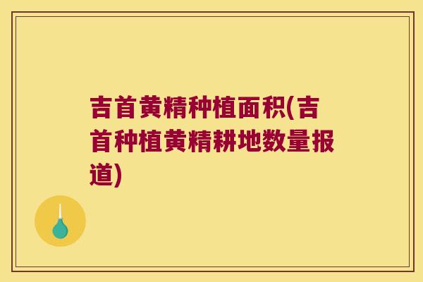 吉首黄精种植面积(吉首种植黄精耕地数量报道)