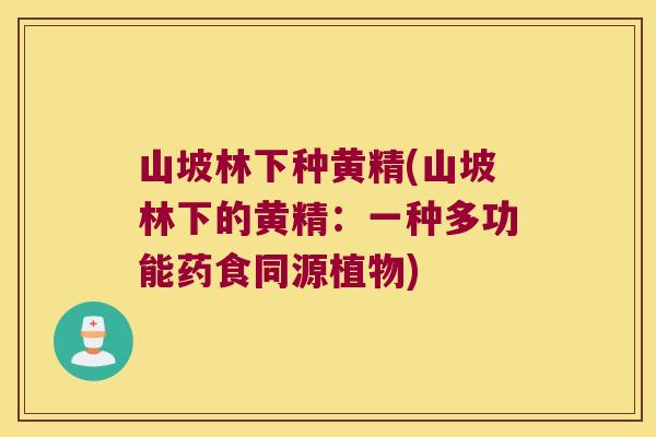 山坡林下种黄精(山坡林下的黄精:一种多功能药食同源植物) 山坡林下种黄精(山坡林下的黄精:一种多功能药食同源植物)