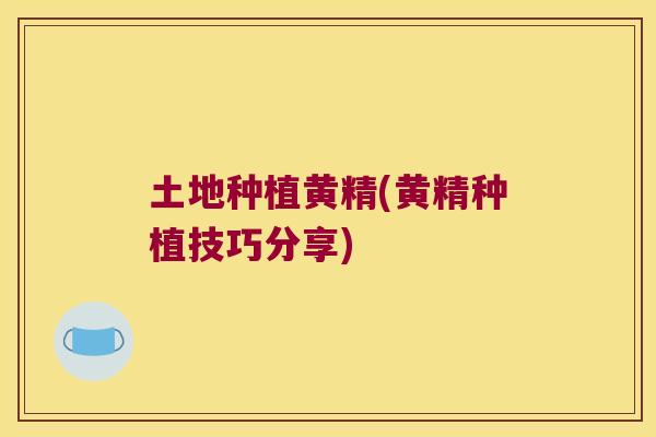 土地种植黄精(黄精种植技巧分享)
