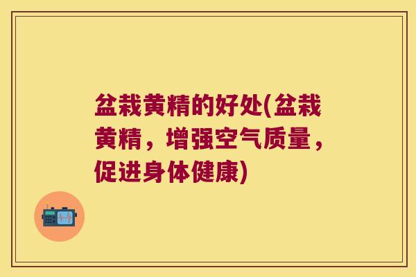 盆栽黄精的好处(盆栽黄精，增强空气质量，促进身体健康)