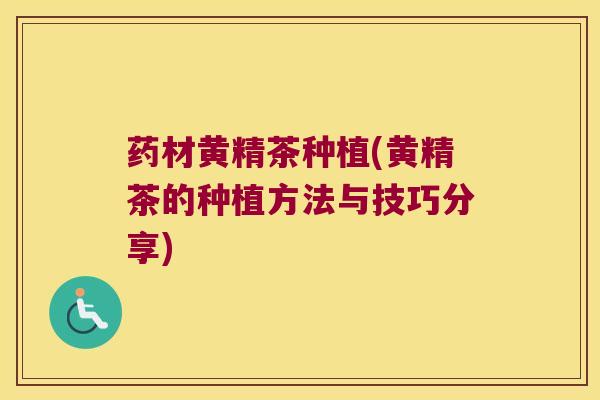 药材黄精茶种植(黄精茶的种植方法与技巧分享)