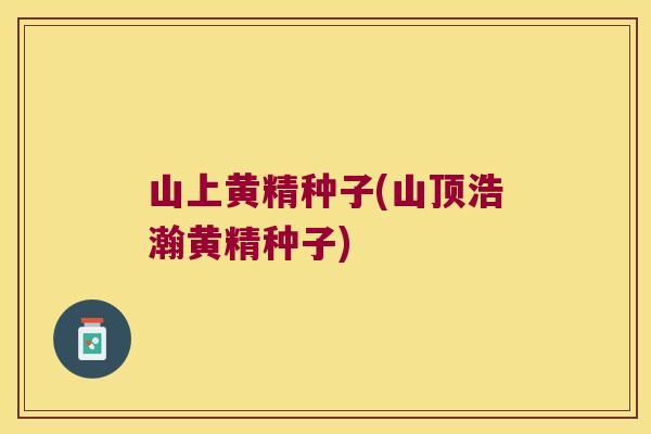 山上黄精种子(山顶浩瀚黄精种子) 山上黄精种子(山顶浩瀚黄精种子)