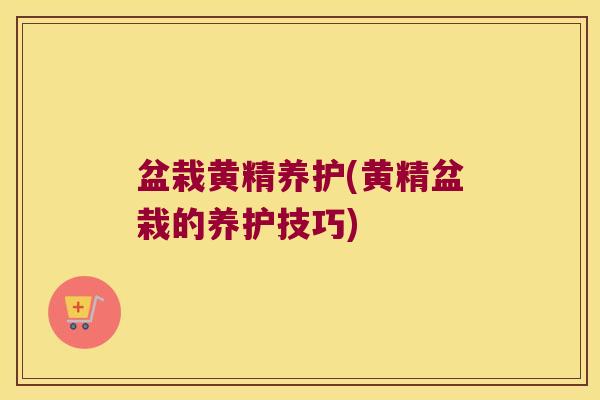 盆栽黄精养护(黄精盆栽的养护技巧) 盆栽黄精养护(黄精盆栽的养护技巧)