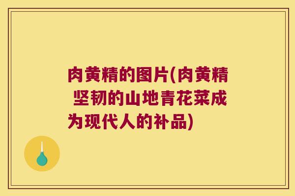 肉黄精的图片(肉黄精 坚韧的山地青花菜成为现代人的补品)