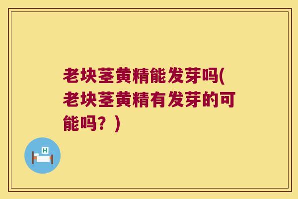 老块茎黄精能发芽吗(老块茎黄精有发芽的可能吗？)