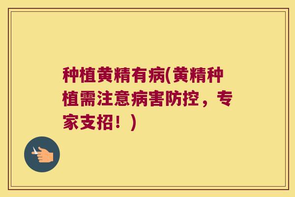 种植黄精有(黄精种植需注意害防控，专家支招！)