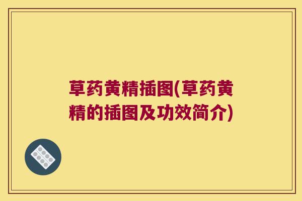 草药黄精插图(草药黄精的插图及功效简介)