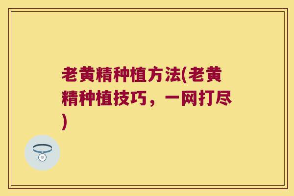老黄精种植方法(老黄精种植技巧，一网打尽)