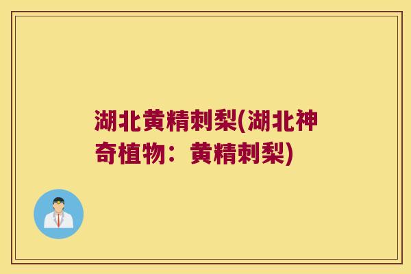 湖北黄精刺梨(湖北神奇植物：黄精刺梨)