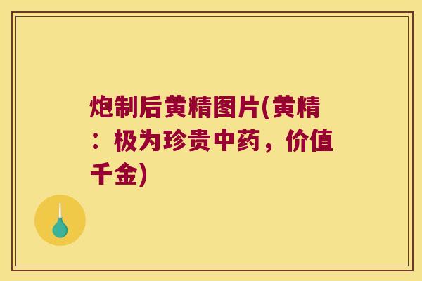 炮制后黄精图片(黄精:极为珍贵,价值千金) 炮制后黄精图片(黄精:极为珍贵,价值千金)