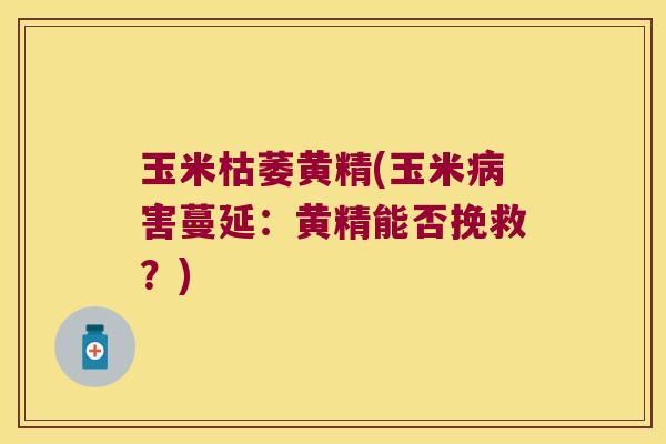 玉米枯萎黄精(玉米害蔓延：黄精能否挽救？)