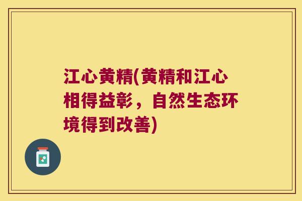 江心黄精(黄精和江心相得益彰，自然生态环境得到改善)