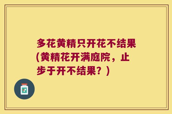 多花黄精只开花不结果(黄精花开满庭院,止步于开不结果?) 多花黄精只开花不结果(黄精花开满庭院,止步于开不结果?)