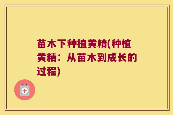 苗木下种植黄精(种植黄精:从苗木到成长的过程) 苗木下种植黄精(种植黄精:从苗木到成长的过程)