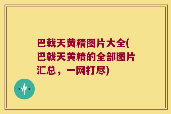 巴戟天黄精图片大全(巴戟天黄精的全部图片汇总，一网打尽)