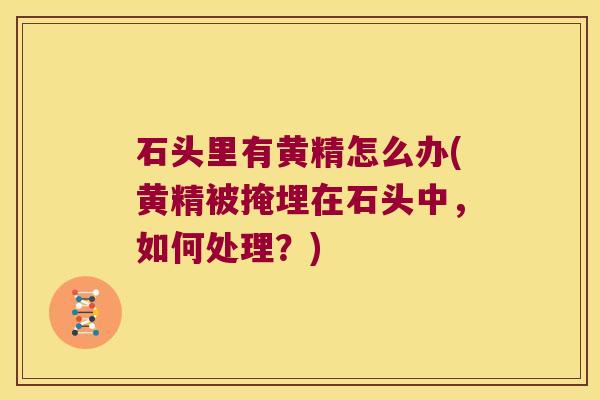 石头里有黄精怎么办(黄精被掩埋在石头中,如何处理?) 石头里有黄精怎么办(黄精被掩埋在石头中,如何处理?)
