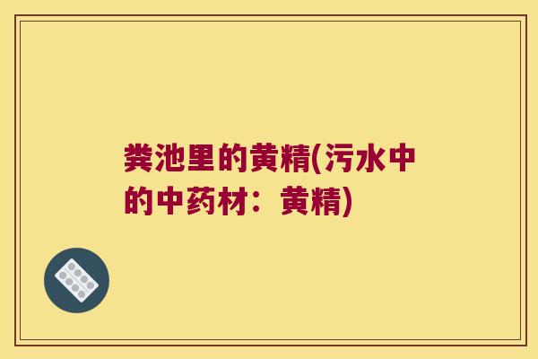 粪池里的黄精(污水中的材：黄精)