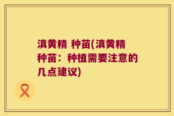 滇黄精 种苗(滇黄精种苗：种植需要注意的几点建议)