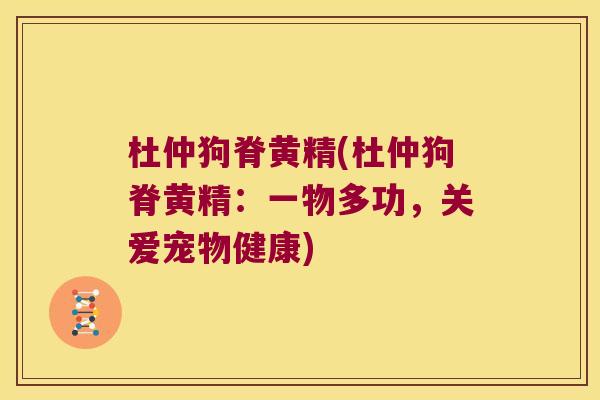 杜仲狗脊黄精(杜仲狗脊黄精:一物多功,关爱宠物健康) 杜仲狗脊黄精(杜仲狗脊黄精:一物多功,关爱宠物健康)