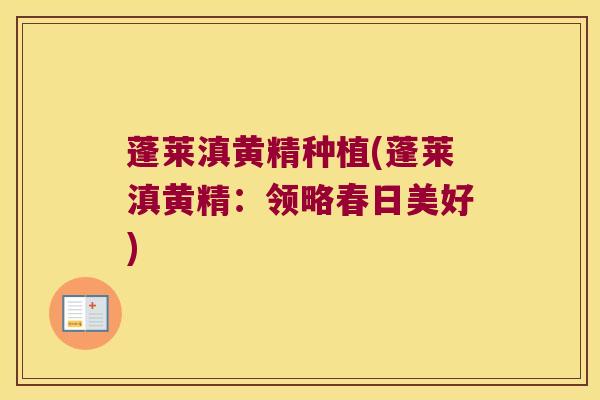 蓬莱滇黄精种植(蓬莱滇黄精：领略春日美好)