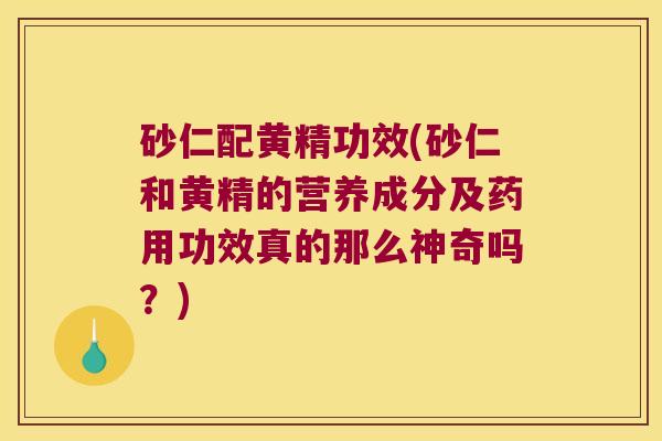 砂仁配黄精功效(砂仁和黄精的营养成分及药用功效真的那么神奇吗?) 砂仁配黄精功效(砂仁和黄精的营养成分及药用功效真的那么神奇吗?)