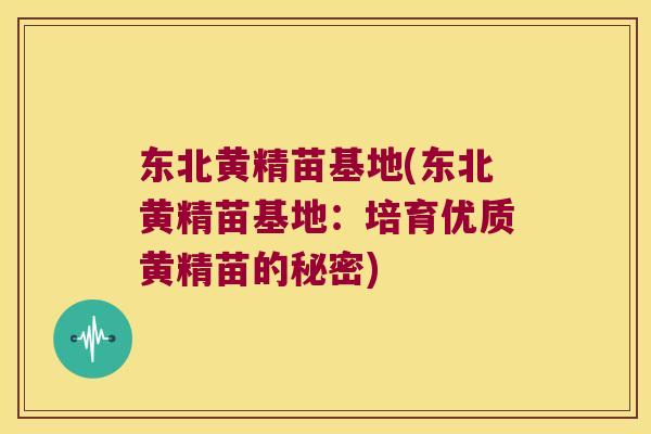 东北黄精苗基地(东北黄精苗基地：培育优质黄精苗的秘密)