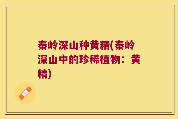 秦岭深山种黄精(秦岭深山中的珍稀植物：黄精)