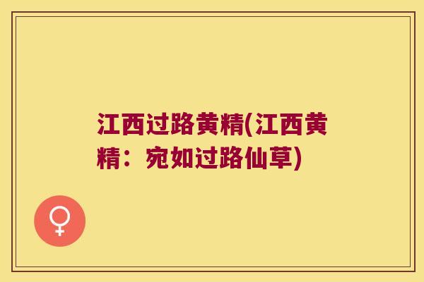 江西过路黄精(江西黄精：宛如过路仙草)