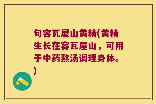句容瓦屋山黄精(黄精生长在容瓦屋山，可用于熬汤调理身体。)