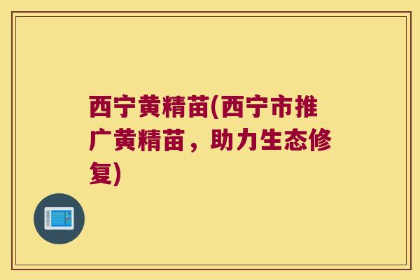 西宁黄精苗(西宁市推广黄精苗，助力生态修复)