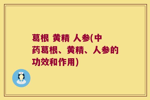 葛根 黄精 人参(葛根、黄精、人参的功效和作用) 葛根 黄精 人参(葛根、黄精、人参的功效和作用)