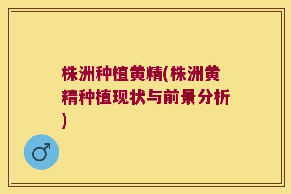株洲种植黄精(株洲黄精种植现状与前景分析)