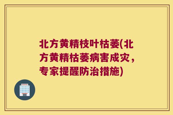 北方黄精枝叶枯萎(北方黄精枯萎害成灾，专家提醒防措施)