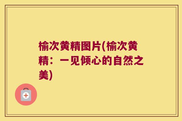 榆次黄精图片(榆次黄精:一见倾心的自然之美) 榆次黄精图片(榆次黄精:一见倾心的自然之美)