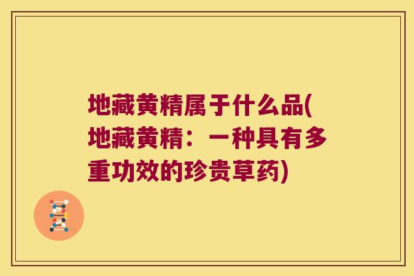 地藏黄精属于什么品(地藏黄精：一种具有多重功效的珍贵草药)